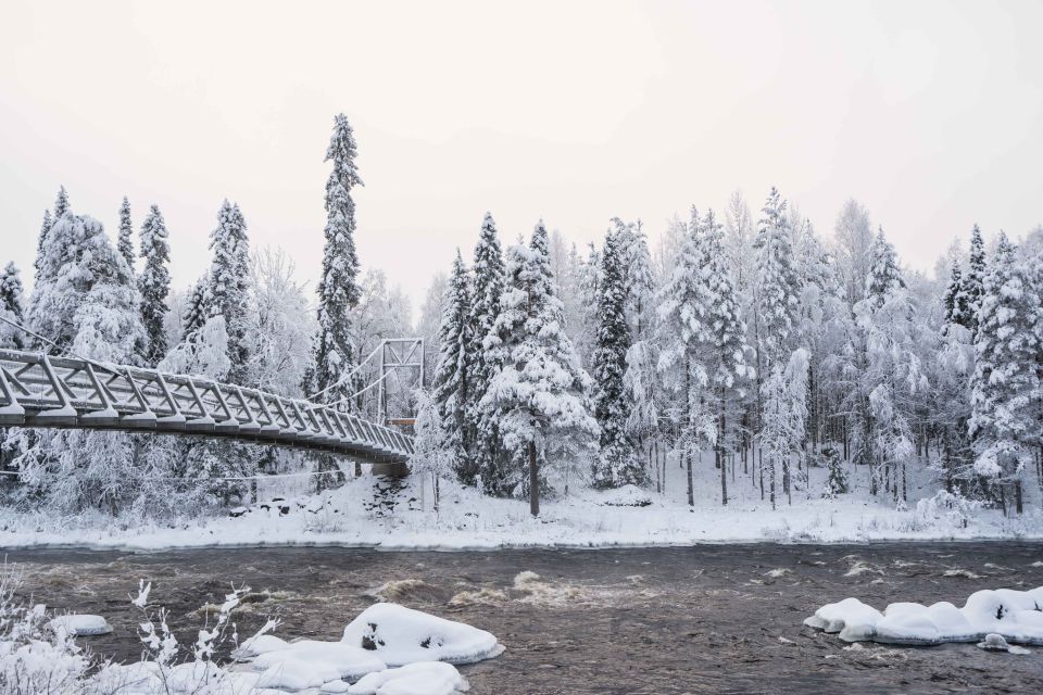 Rovaniemi: Nordic Forest Wilderness Adventure - Pricing and Booking Details