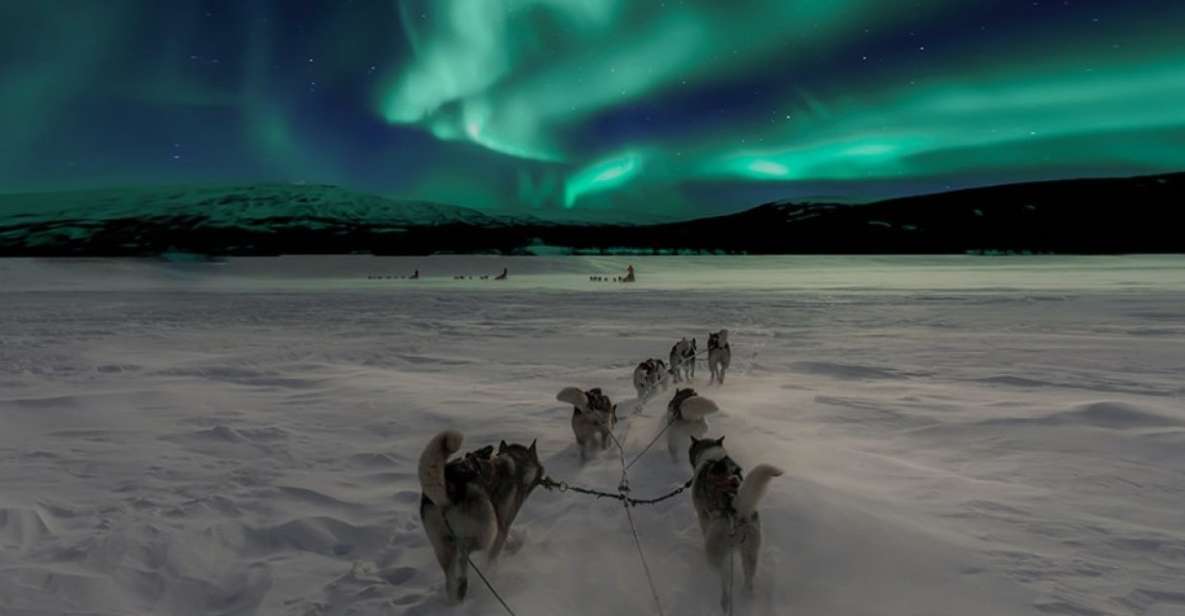 Rovaniemi: Northern Lights and Husky Sleigh Ride - Activity Restrictions and Limitations