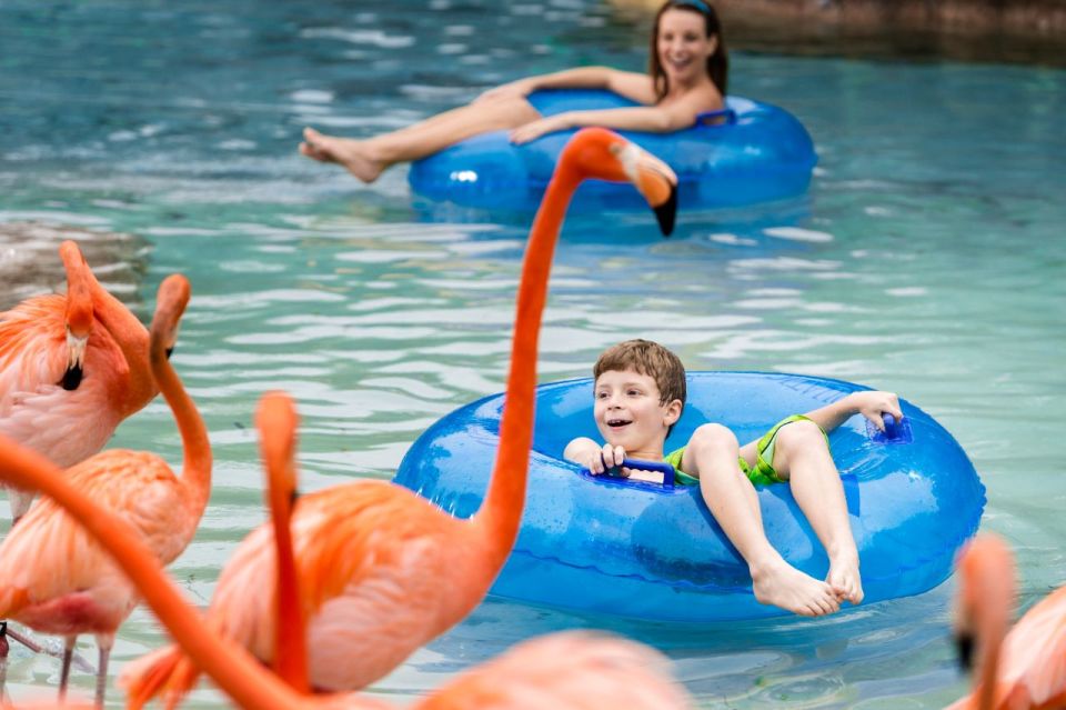 San Antonio: Aquatica Skip-the-Line Park Admission Ticket - Tips for a Memorable Visit