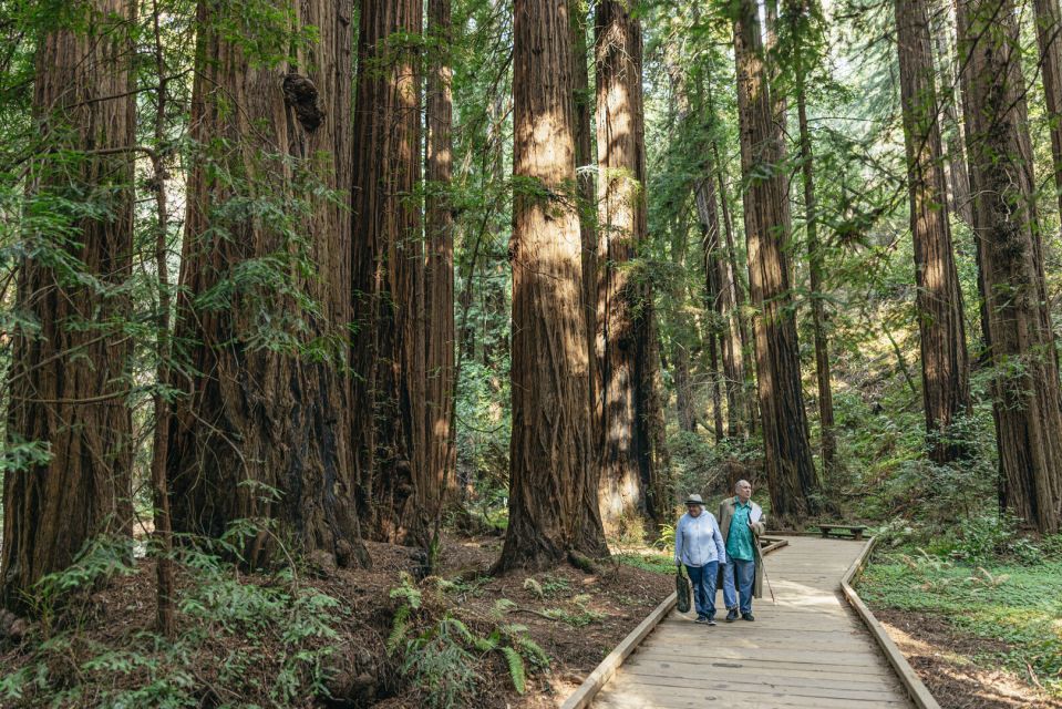 San Francisco: Muir Woods, Sausalito and SF Bay Cruise - Additional Information