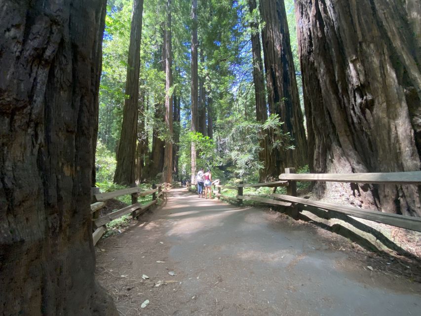 San Francisco Tour to Muir Woods Giant Redwoods & Sausalito - Meeting Point and Arrival Details