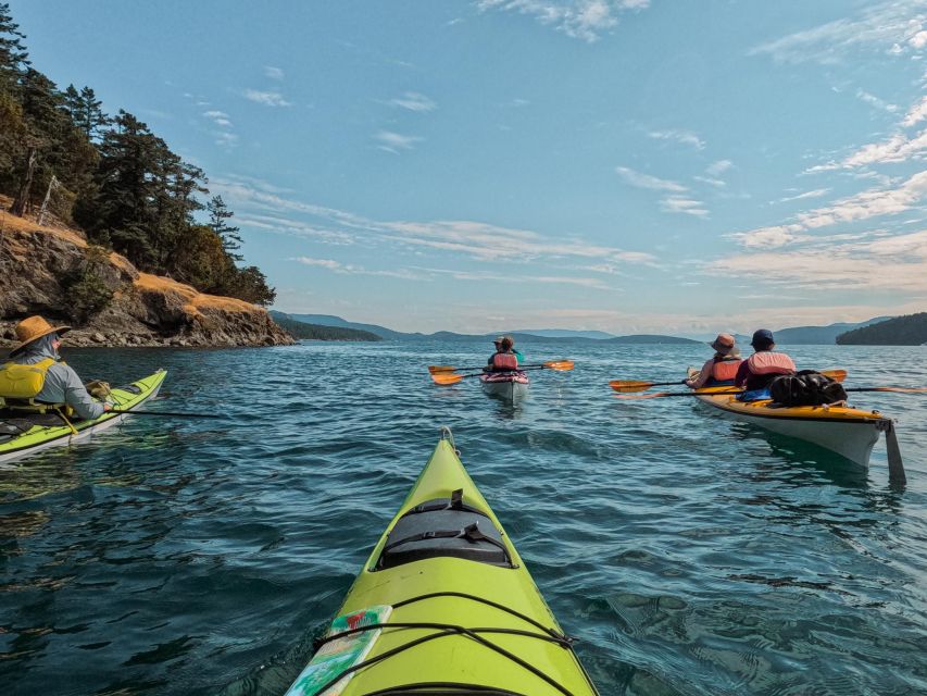 San Juan Island: 3-Hour Kayak Tour - Meeting Point