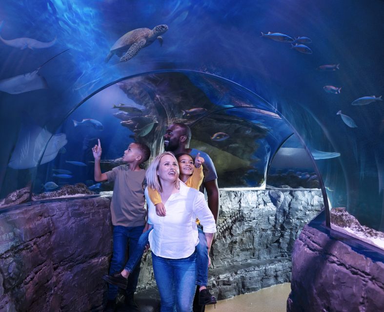 SEA LIFE Michigan Aquarium General Admission - Customer Feedback