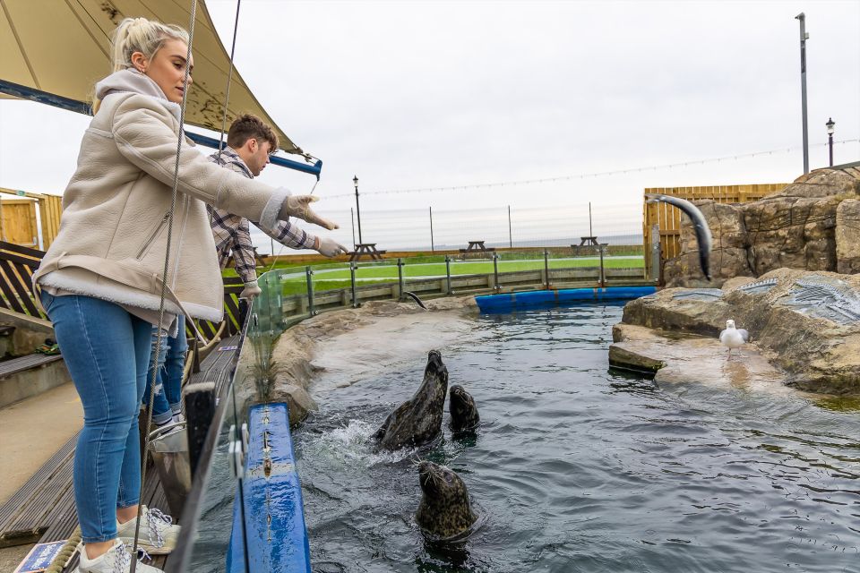 Sea Life Scarborough - Seal Hospital and Boo