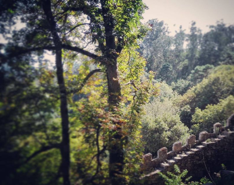 Sintra: Legends and Medieval Stories Private Walking Tour - What to Expect on the Tour