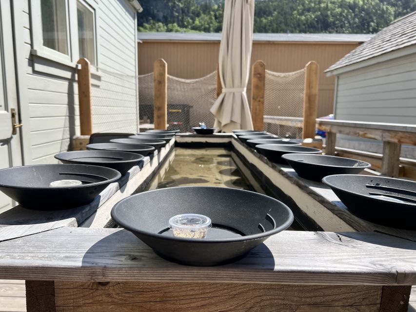 Skagway: Gold Panning Experience - Pricing and Payment Options