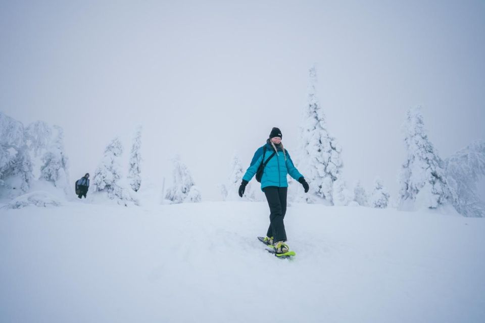 Snowshoeing in the Frozen Forest - Additional Details