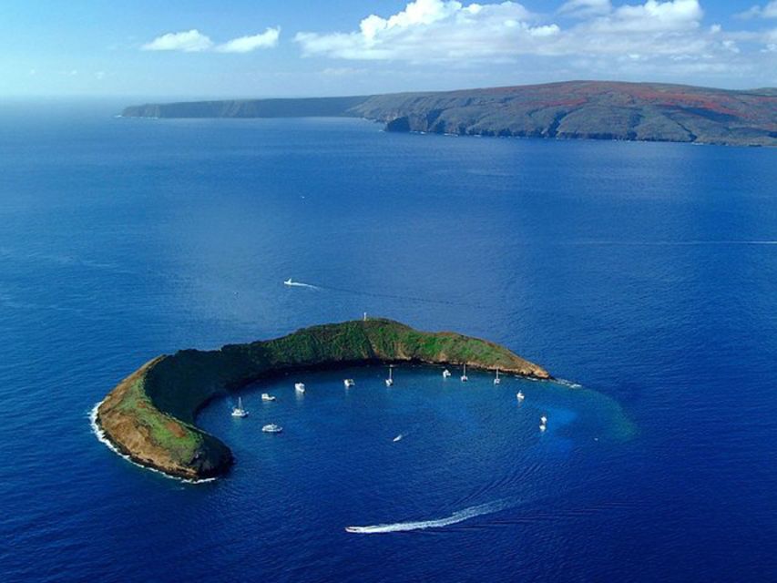 South Maui: PM Snorkel to Coral Gardens or Molokini Crater - Customer Reviews