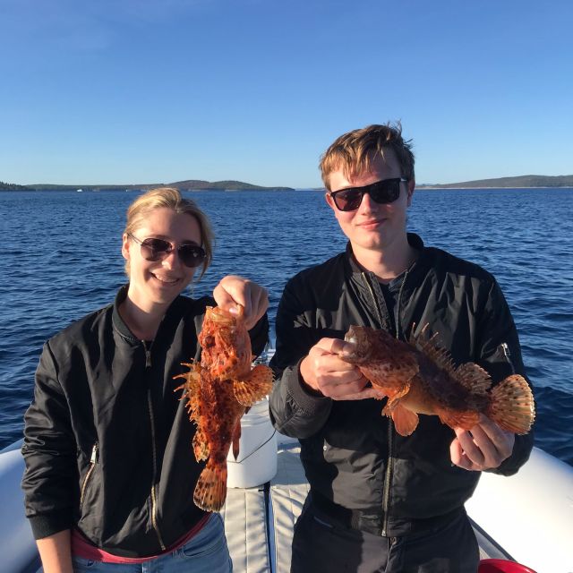 Split: Half-Day Fishing Tour to Drvenik and Solta Island - Boat and Crew