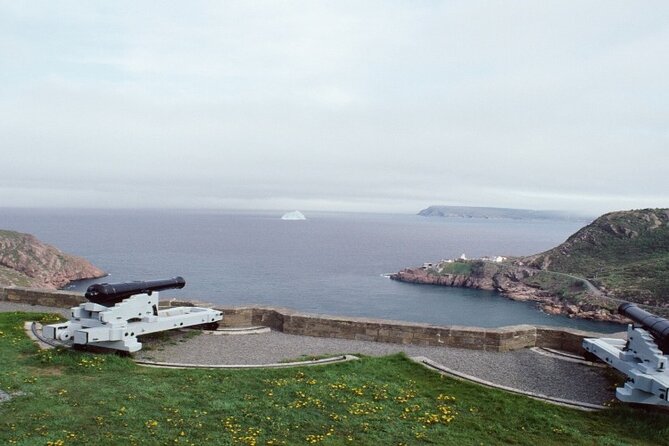 St. Johns, Quidi Vidi Village & Signal Hill Small Group Tour - Discovering Signal Hill National Historic Site