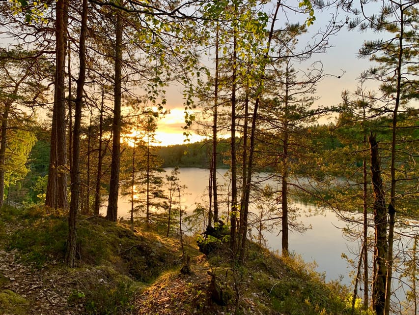 Stockholm: Tyresta National Park Sunset Hike With Meal - Booking and Pricing