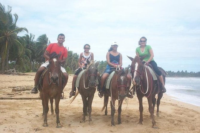 Sunset Beach Horsebackriding Punta Cana - Traveler Recommendations and Cancellation Policy