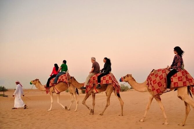 Sunset Desert Safari | Premium BBQ Dinner | Red Sand Dune - Logistical Arrangements and Facilities