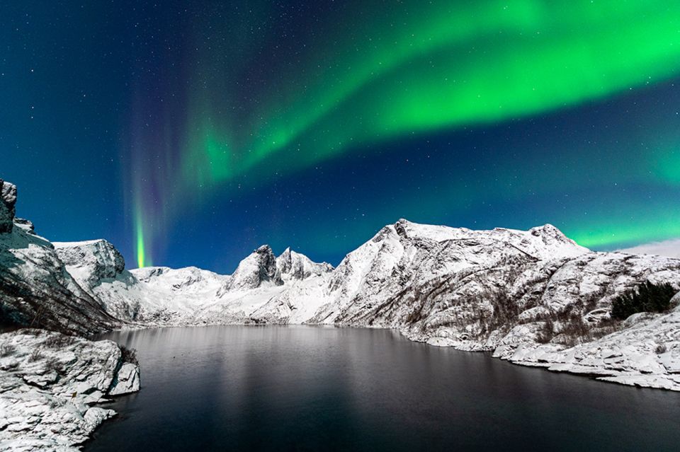 Svolvær's: Lofoten Northern Lights Hunt by Van With Snacks - Capturing the Aurora Borealis