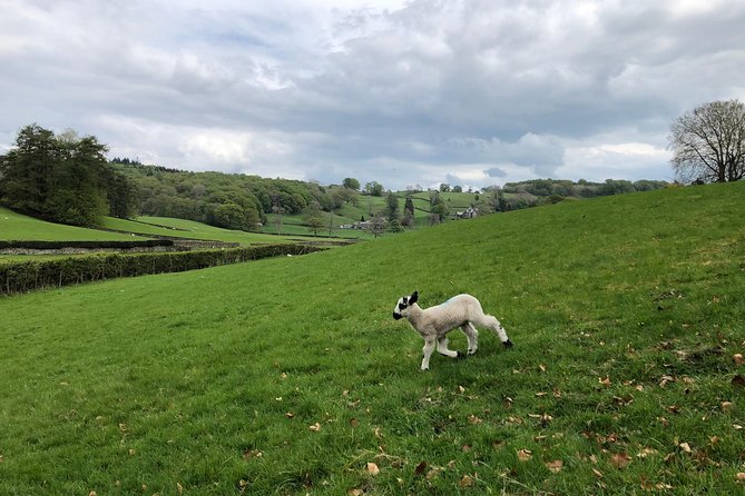 The Lake District Tour From Liverpool Including Lake Cruise - Participant Suitability