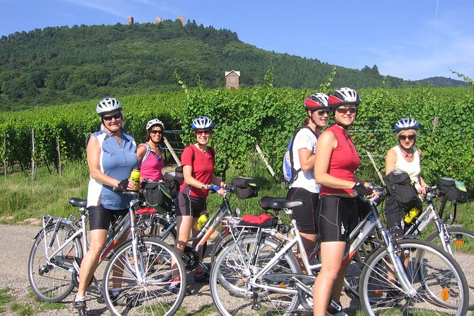 Through Alsace Vineyards and Wine Villages Private Bike Tour - Additional Information