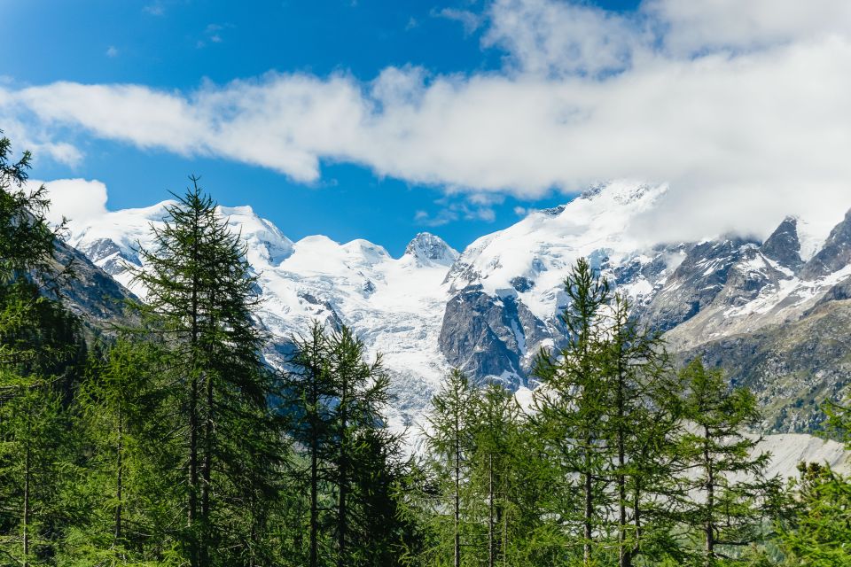 Tirano to St. Moritz: Bernina Red Train Return Day-Ticket - Flexible Exploration