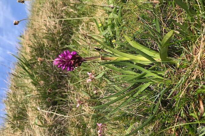 Toe Head Clifftop Hike in West Cork - Additional Considerations