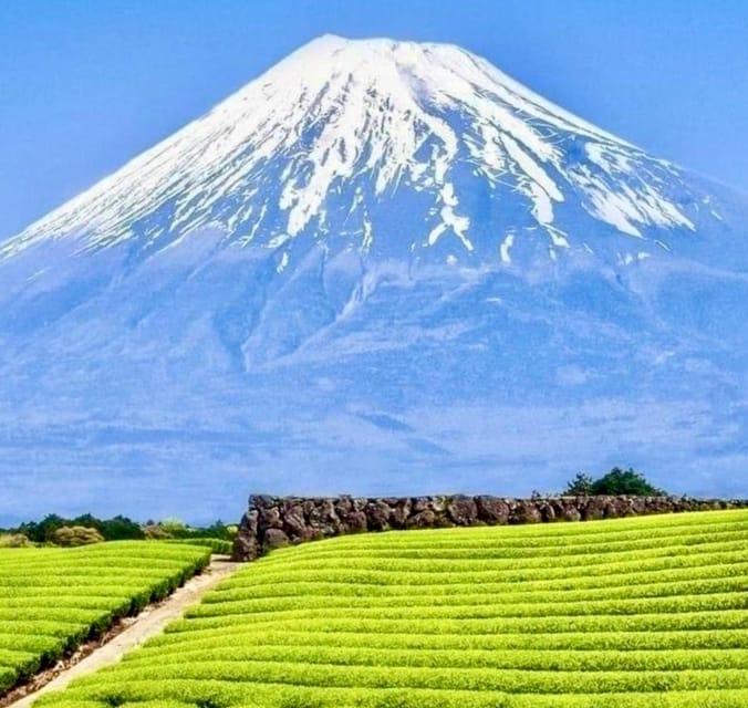 Tokyo: Mount Fuji or Hakone Customized Private Full-Day Trip - Optional Stops