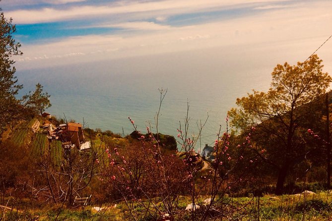 Trail of the Gods With Local Guide Saveria Fiore Ladybug - Accessibility and Transportation