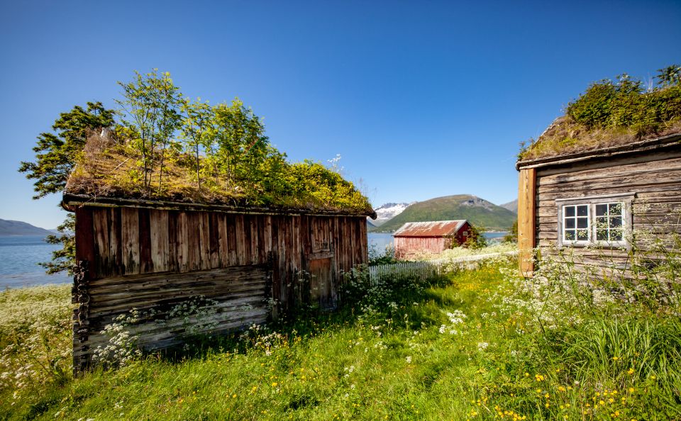 Tromsø: Arctic Landscapes Sightseeing With Citizen Science - Booking and Cancellation