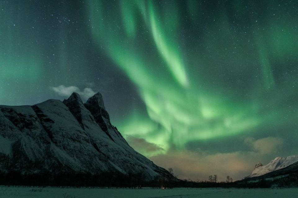 Tromsø: Northern Lights Photography Tour - Frequently Asked Questions