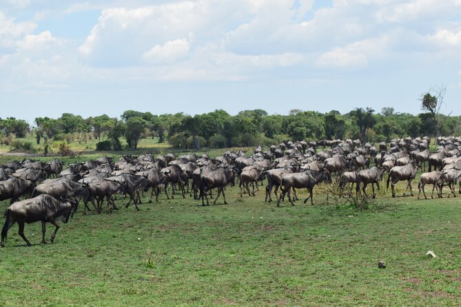 Unforgettable 4 Days Tanzania Private Budget Safari Tour - Pricing Information