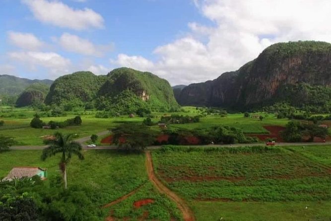 Viñales Horse Tour - Suitability and Accessibility