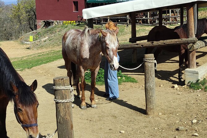 Visit a Farm and Horseback Riding in Nature - Preparing for the Experience