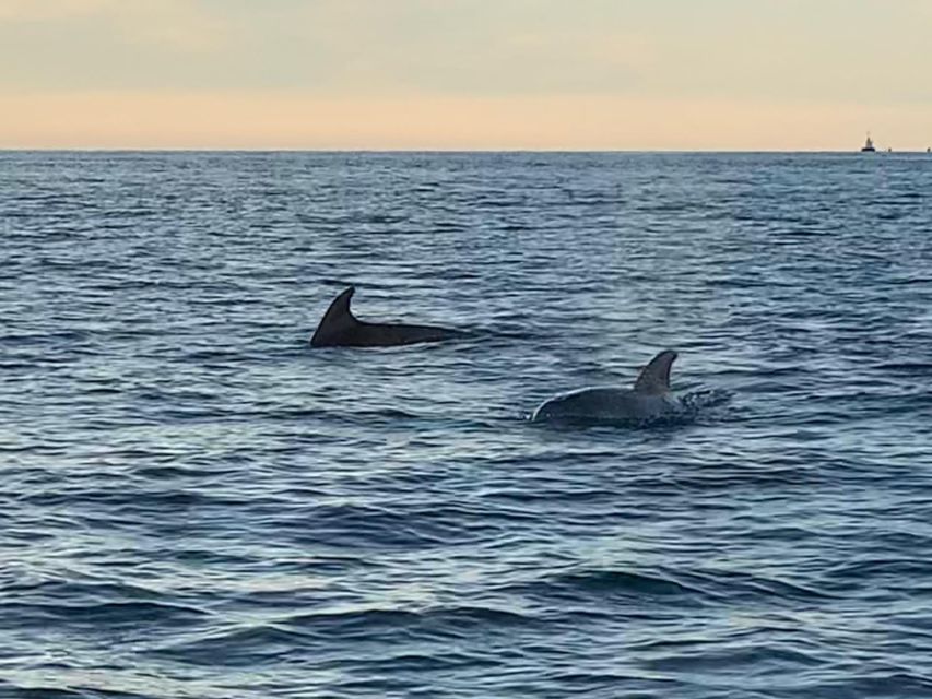 Vrsar: Dolphin-Watching Sunset Adventure With Speedboat - Getting to the Departure Point