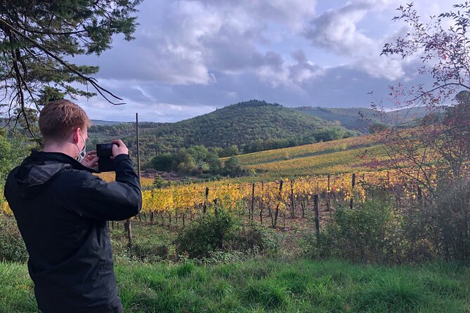 Walking Tour of Chianti Classico With 3 Organic Wine Tasting and Lunch - Logistics and Restrictions