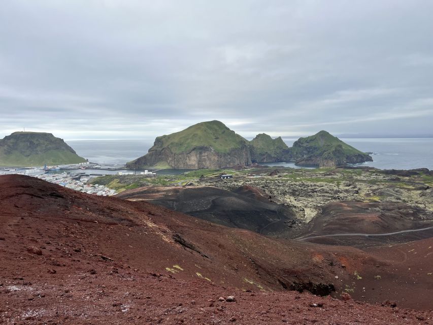 Westman Islands Private Tour - Logistics