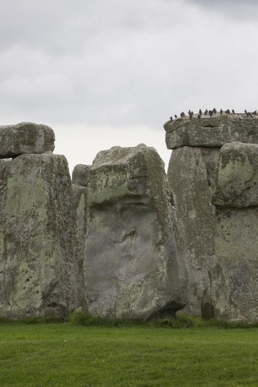 Windsor Stonehenge Bath Private Tour From London With Passes - Licensed Drivers and Vehicles