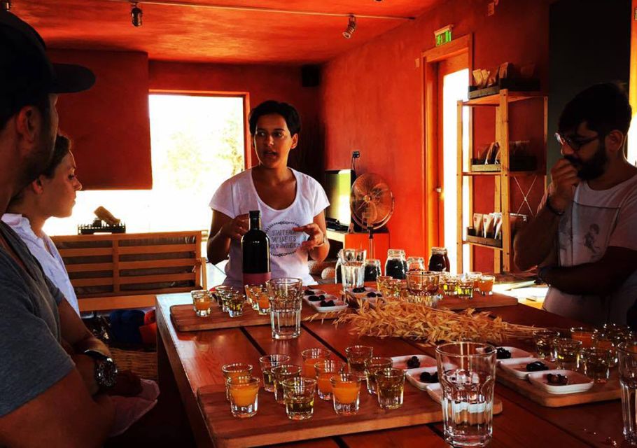 Wine & Olive Oil Tasting in an Organic Farm Laconia, Greece - Weather Considerations