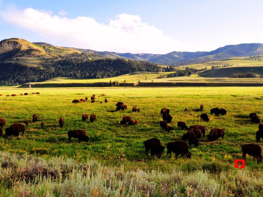 Yellowstone & Grand Teton: Self-Guided Audio Driving Tours - Hiking and Boat Trails