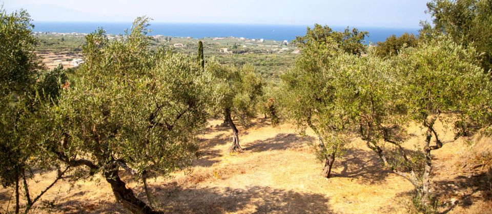 Zakynthos: Panoramic West Zakynthos Private Tour - Sightseeing and Photo Stops