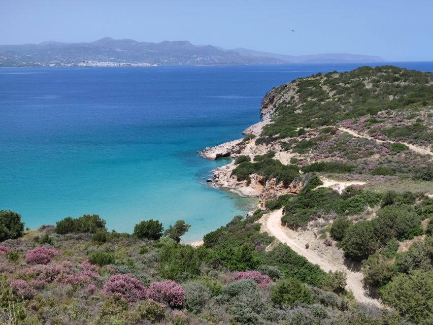 Agios Nikolaos: Toplou and Vai Palm Beach Day Trip - Frequently Asked Questions