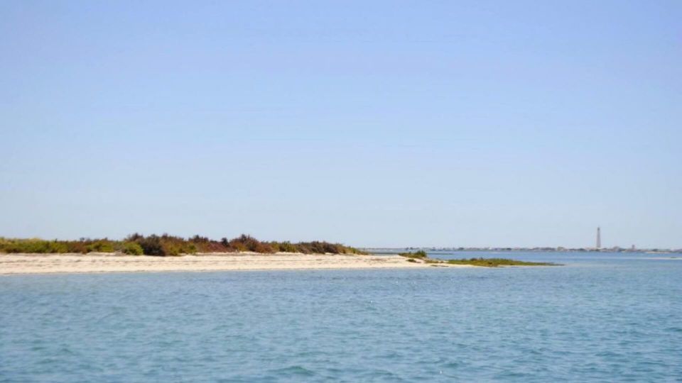 Algarve: Eco Boat Tour in the Ria Formosa Lagoon From Faro - Frequently Asked Questions