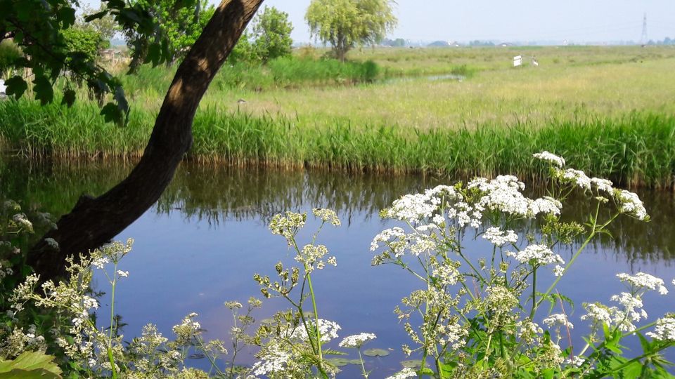 Amsterdam: Dutch Countryside Sunset Canoe Tour - Frequently Asked Questions