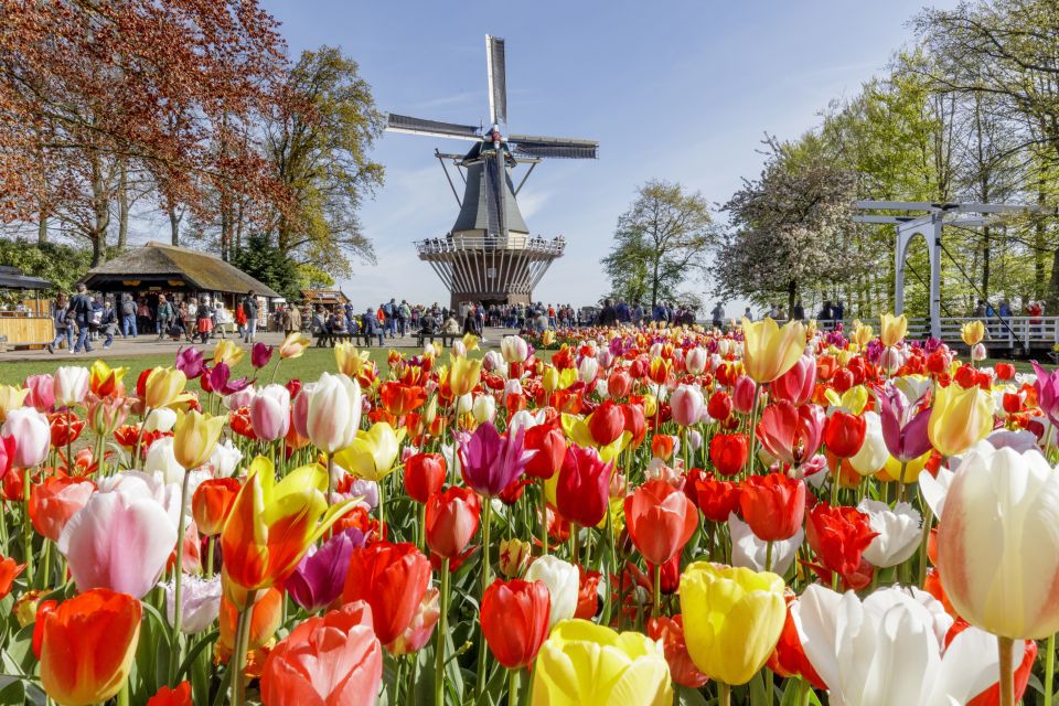 Amsterdam: Keukenhof and Zaanse Schans Live Guided Day Tour - Frequently Asked Questions