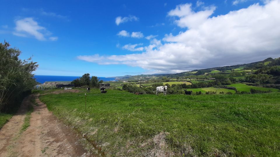 Azores: São Miguel Hike and Snorkeling With a Local - Recap