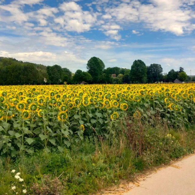 Bike Tour From Vernon to Giverny With Local Guide - Recap