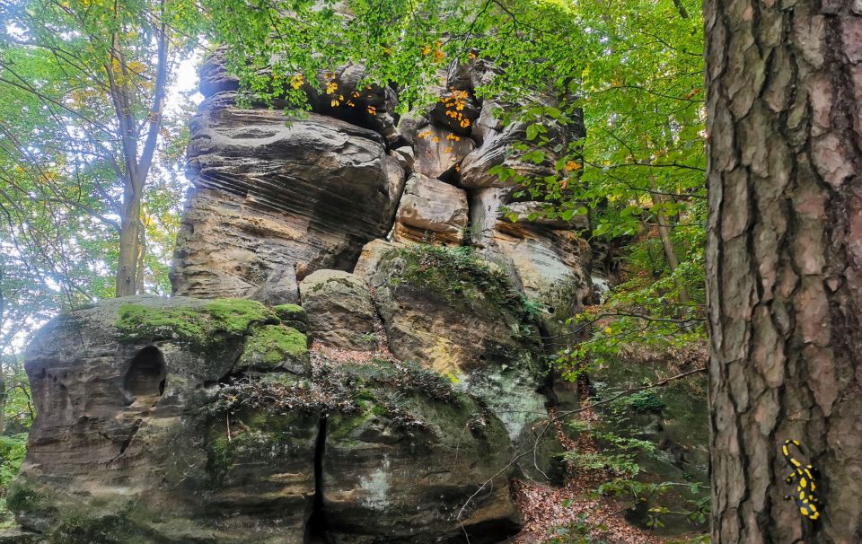 Bohemian Paradise Nature Hike & Castle Day Trip From Prague - Frequently Asked Questions