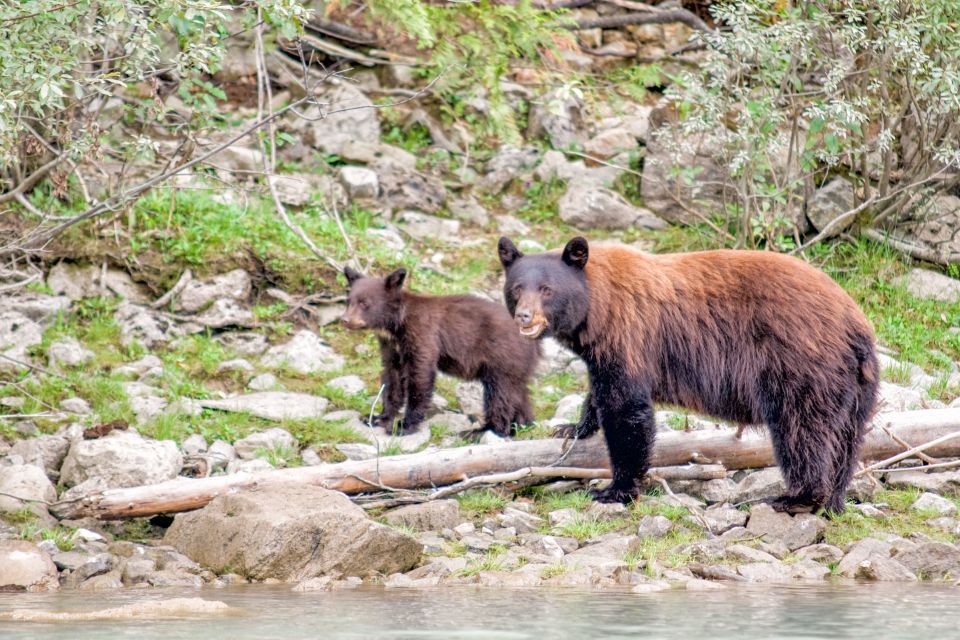 Canada 7–Day National Parks Camping Tour From Seattle - Frequently Asked Questions