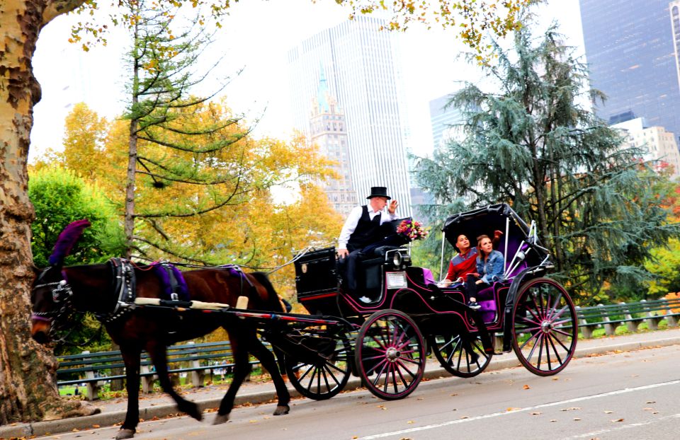 Central Park: Short Horse Carriage Ride (Up to 4 Adults) - Frequently Asked Questions