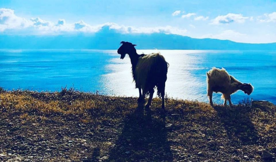 Chania Luxury Jeep Safaris: Balos Beach. A Lagoon For Bliss. - Frequently Asked Questions