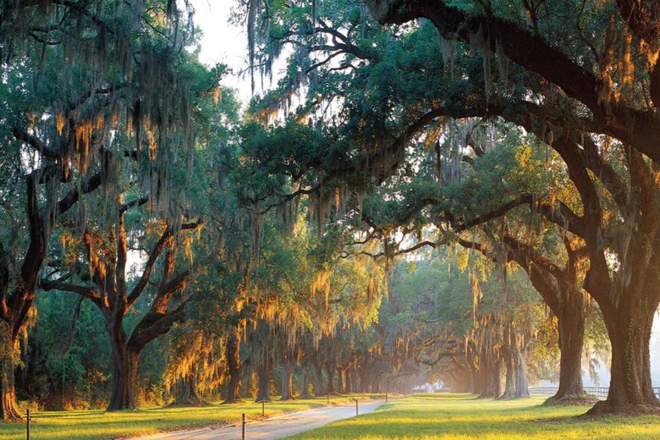 Charleston: Boone Hall & Historic City Tour Combo - Frequently Asked Questions