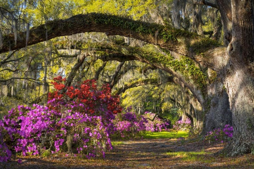 Charleston: Historic City Tour & Magnolia Plantation Combo - Frequently Asked Questions