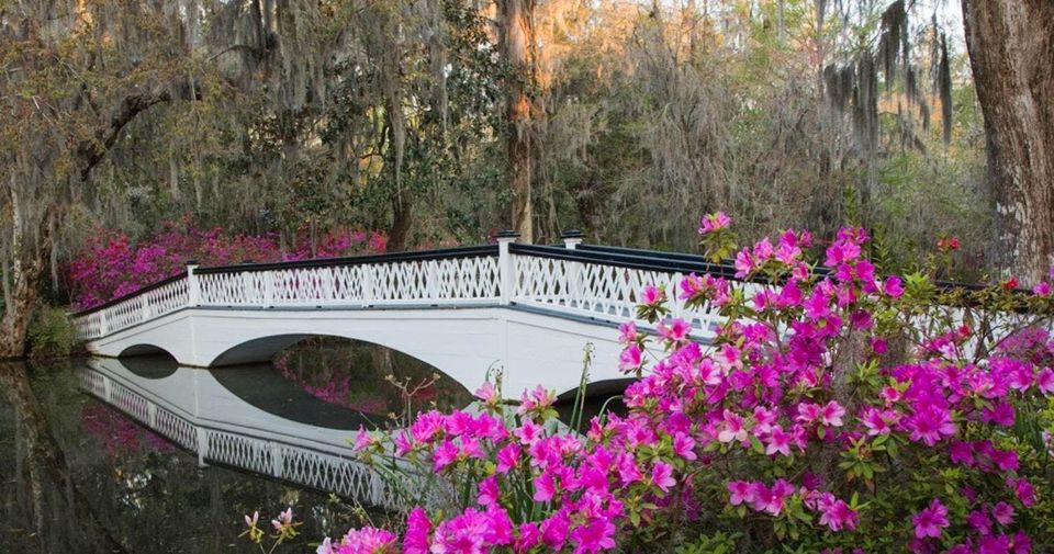 Charleston: Magnolia Plantation Entry & Tour With Transport - Frequently Asked Questions