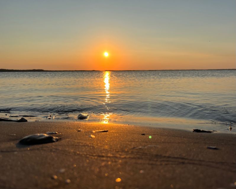 Charleston: Morris Island Dolphin Cruise With Beachcombing - Frequently Asked Questions